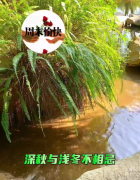 大本营智慧分享