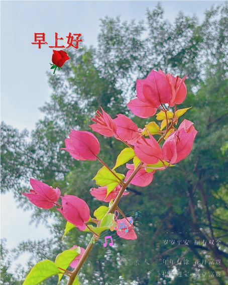大本营智慧分享