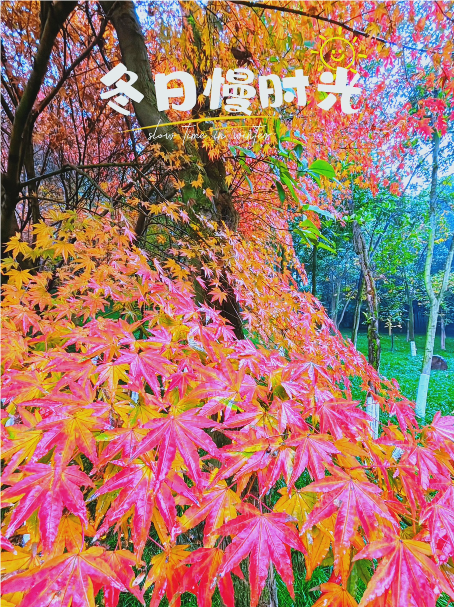 大本营智慧分享