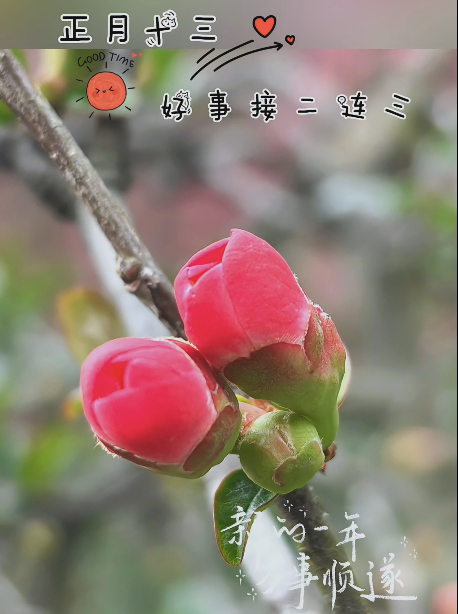 大本营智慧分享