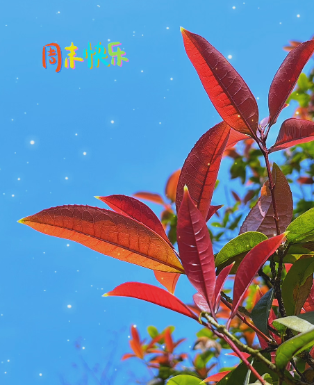 大本营智慧分享