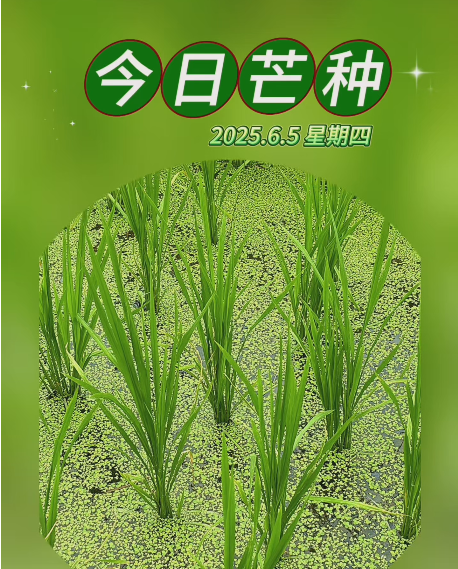 大本营早餐来了