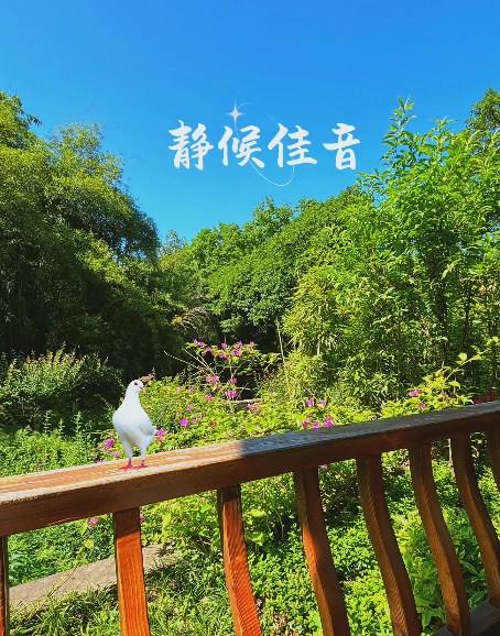 大本营早餐来了
