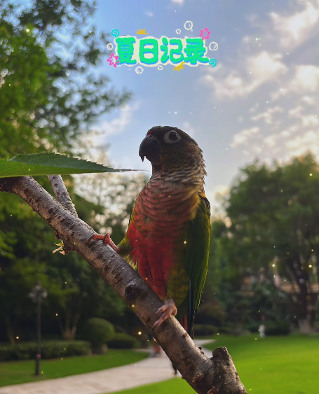 大本营早餐来了