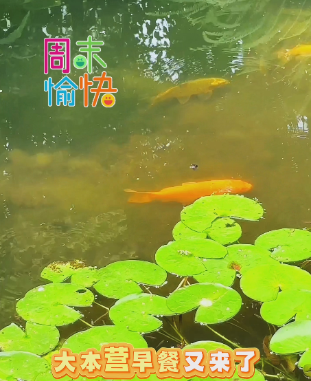 大本营早餐来了