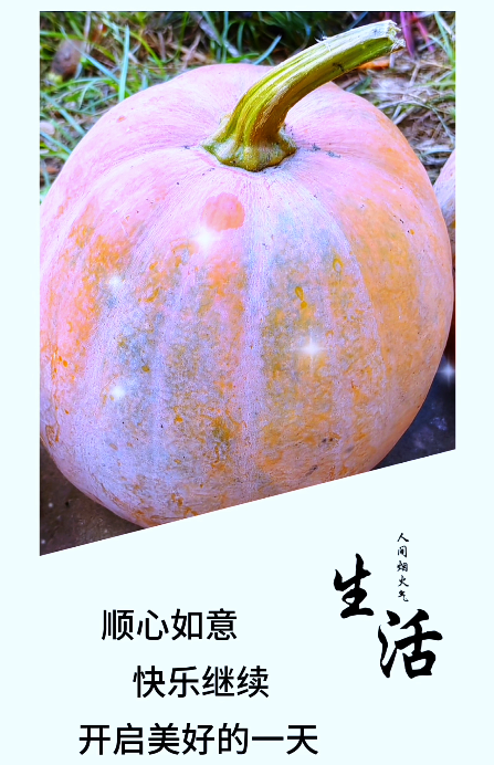 大本营早餐来了