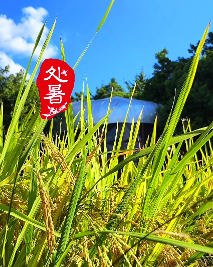 大本营早餐来了