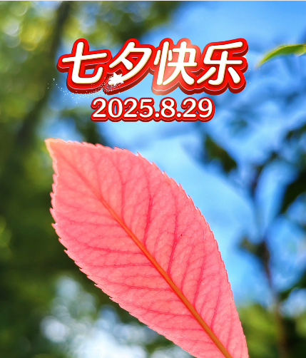大本营早餐来了