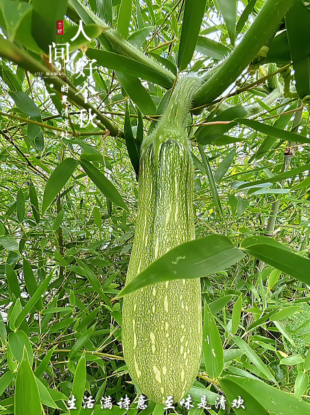大本营早餐来了