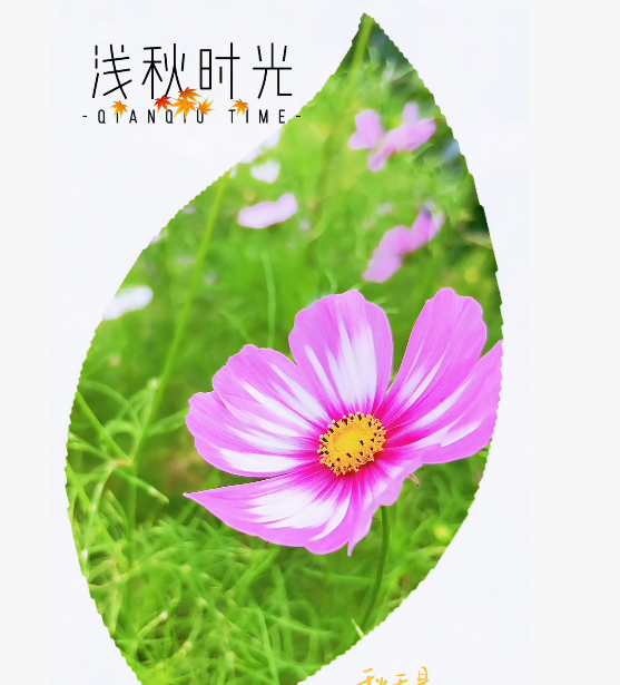 大本营早餐来了