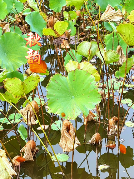 大本营早餐来了