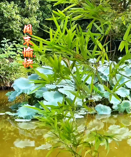 大本营早餐来了