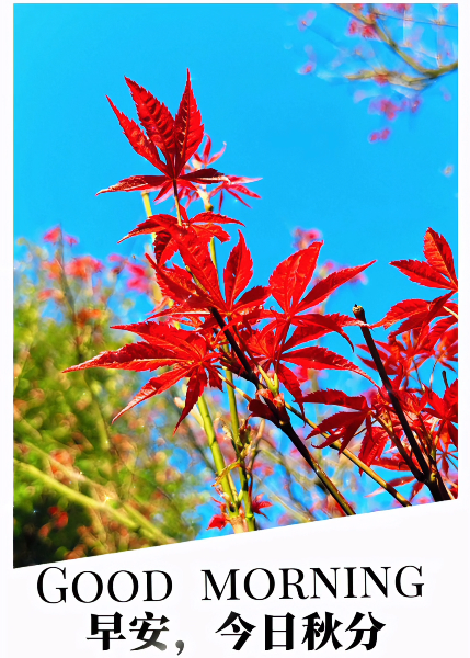 大本营早餐来了