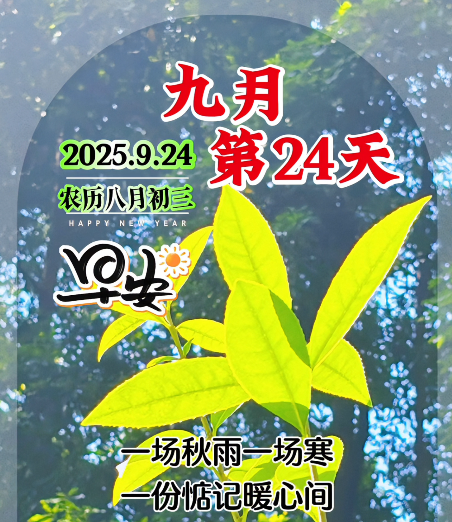 大本营早餐来了