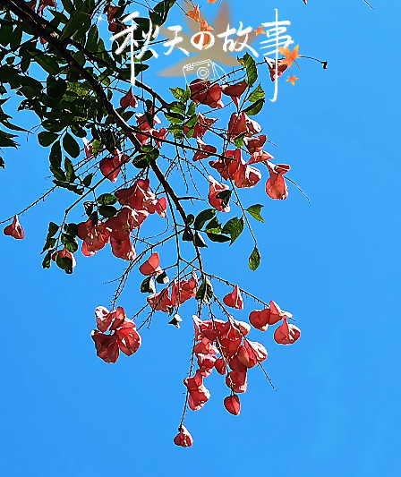 大本营早餐来了