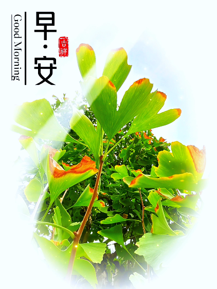 大本营早餐来了