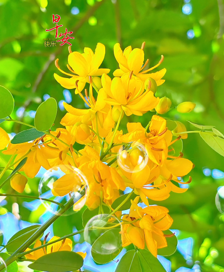 大本营早餐来了