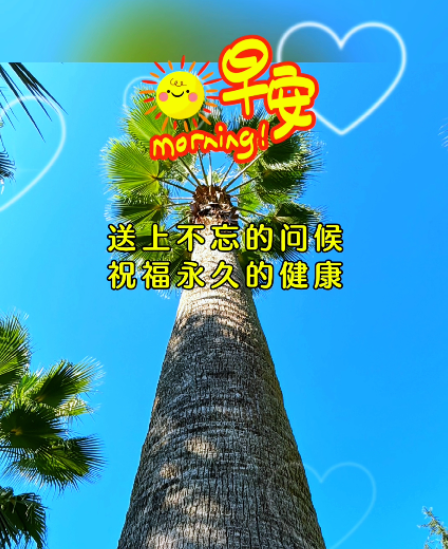 大本营早餐来了