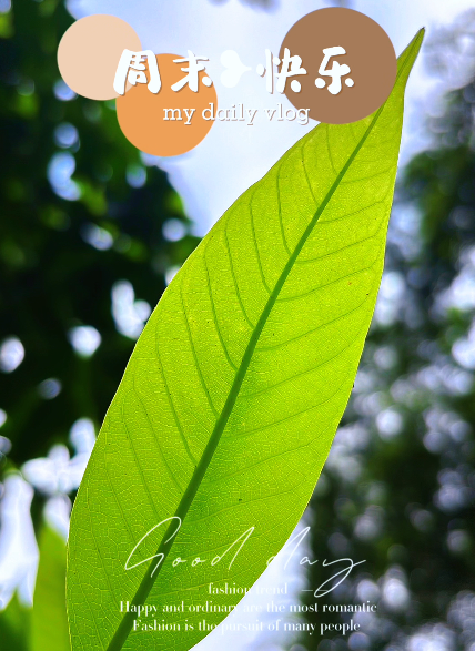 大本营早餐来了