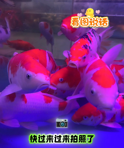 大本营早餐来了