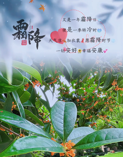 大本营早餐来了