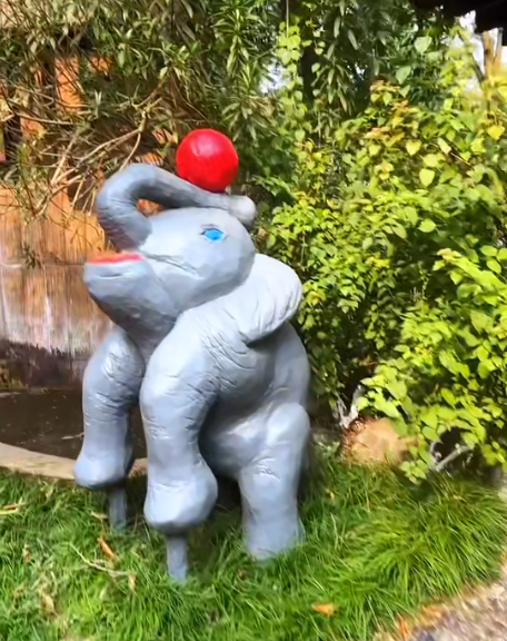 大本营早餐来了