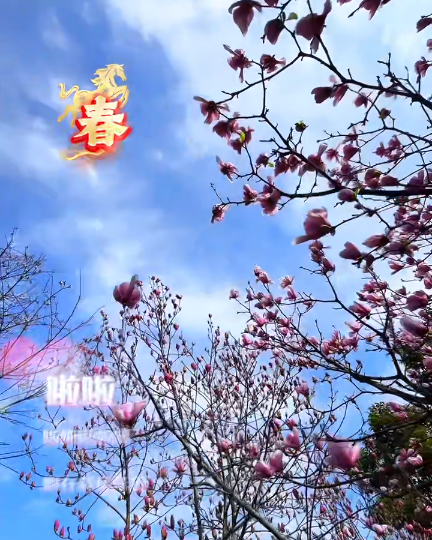 大本营早餐来了