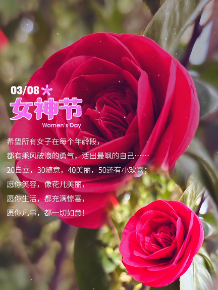 大本营早餐来了