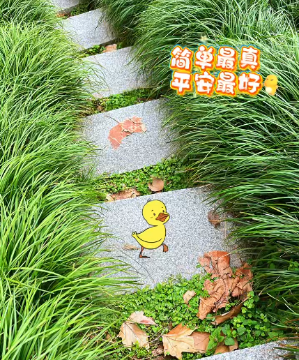 大本营早餐来了