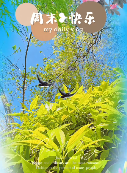 大本营早餐来了